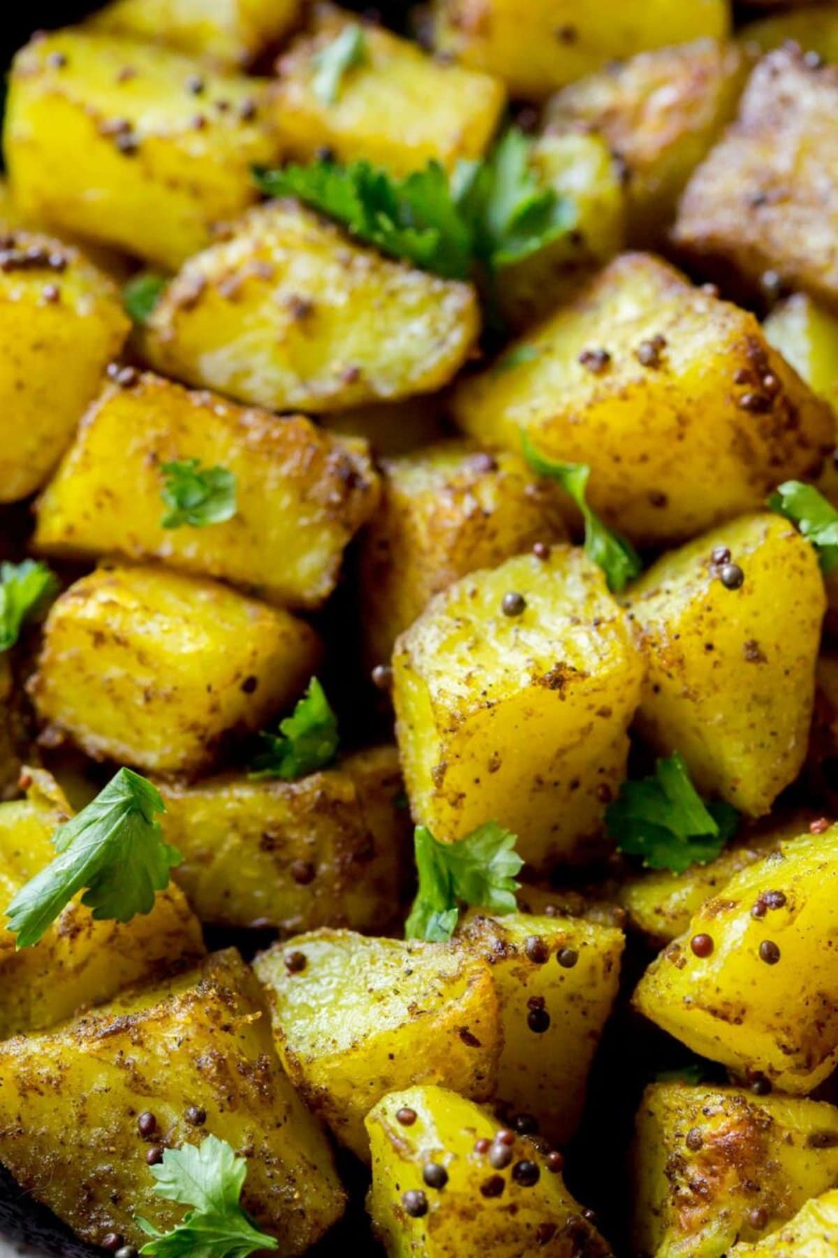 Indian Bombay Potatoes close up photo