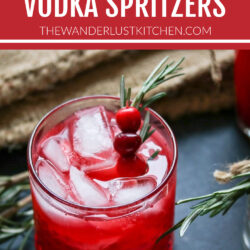 Fresh Cranberry Vodka Spritzer Cocktail