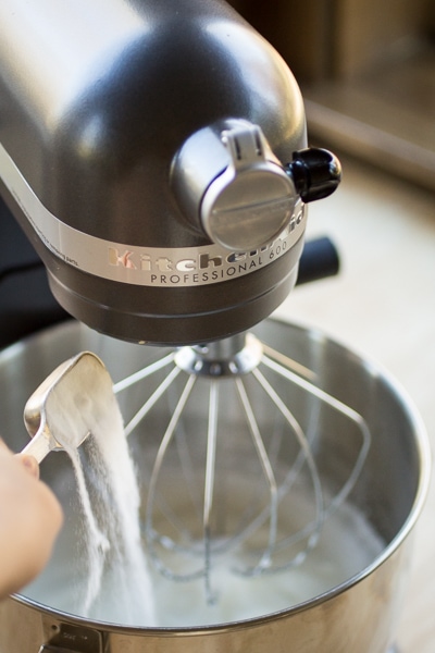 how to make eggnog with a mixer
