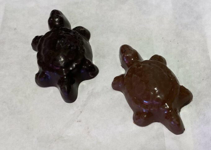 Key Largo Chocolates Turtles