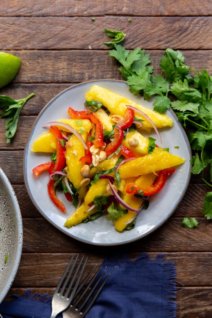 Wanting a mango salad recipes. Here is one!  This Mango Salad recipe has sweet mangoes, crisp bell peppers and onions, and a tangy lime dressing that all pairs together perfectly!