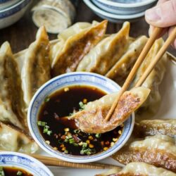 Spicy Sichuan Vegan Potstickers | Humble cabbage and mushrooms are perfectly spiced to bring bold flavor to these little pieces of heaven.
